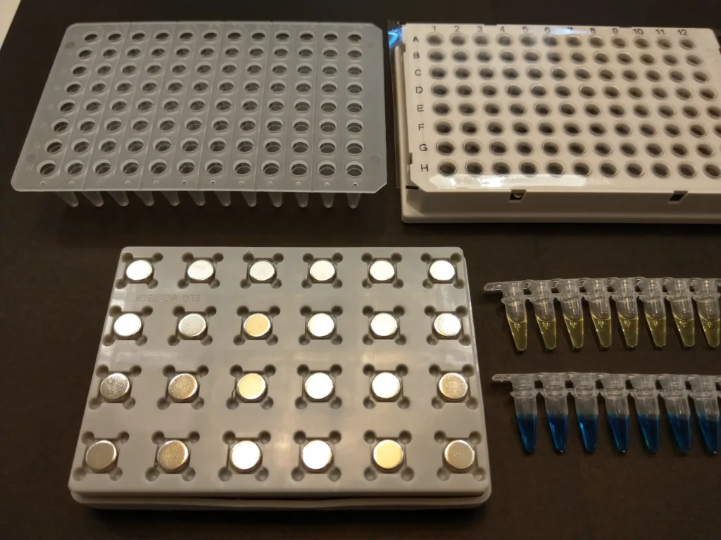 AccuMag 96 magnetic rack for PCR plates magnetic beads isolation