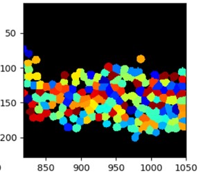 Service 1- Customized Cell-isolation p01