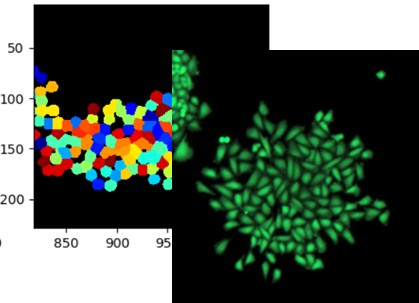 Service 1- Customized Cell-isolation