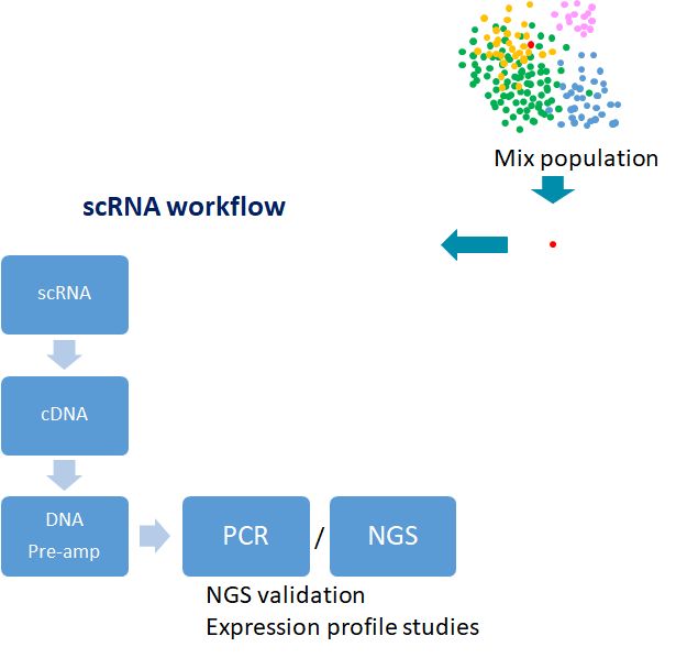 Single-cell genomics workflow