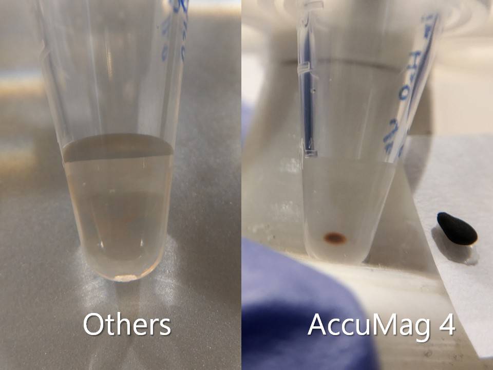 AccuMag 4 vs Std, Others vs AccuMag4