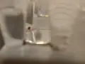 IMAG1192