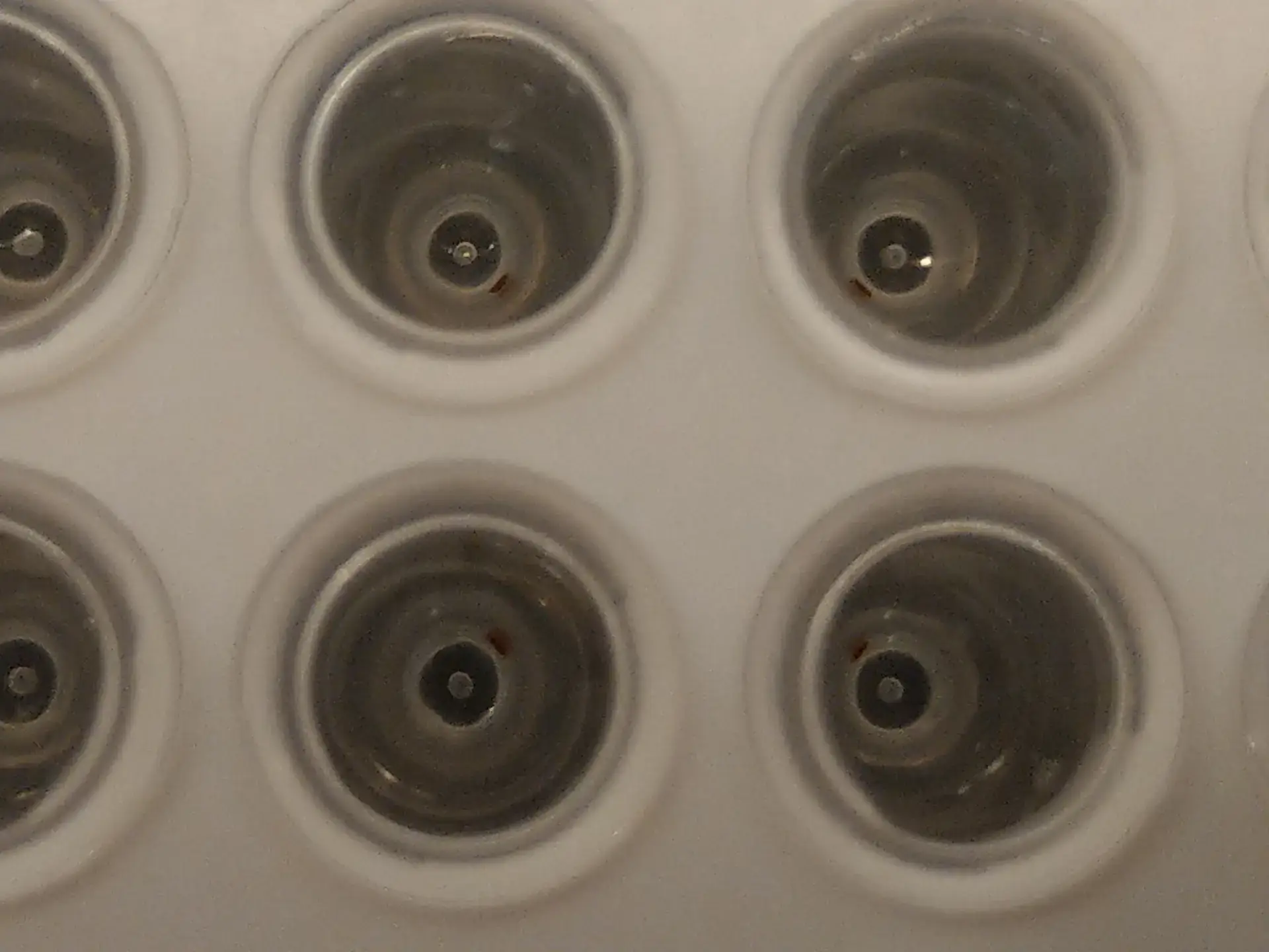 AccuMag 96, PCR plate top view. Magnetic beads spots